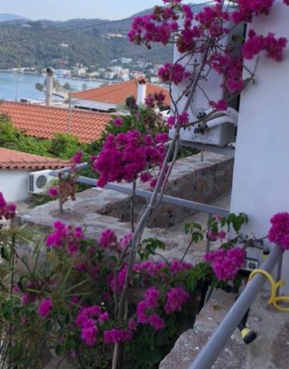 Appartement Veranda Blue - Poros à Poros Town Extérieur photo